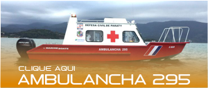 Ambulancha 295