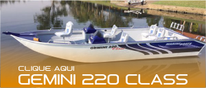 Gemini 220 Class